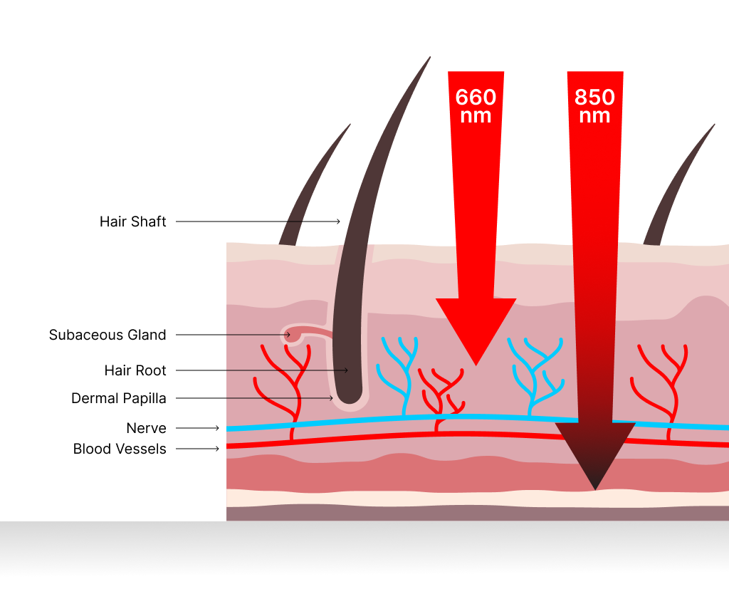 Red Light Therapy On Skin Infographic 